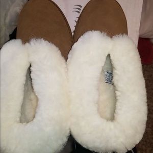 Beat paw boots